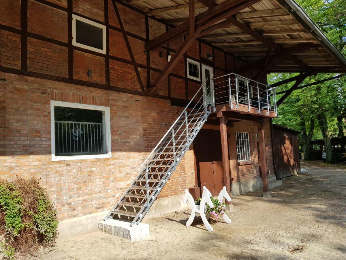 Grosse, Helle Ferienwohnung Mit 2 Balkonen Auf Dem Bauernhof In Der Lueneburger Heide Oetzen Exterior photo
